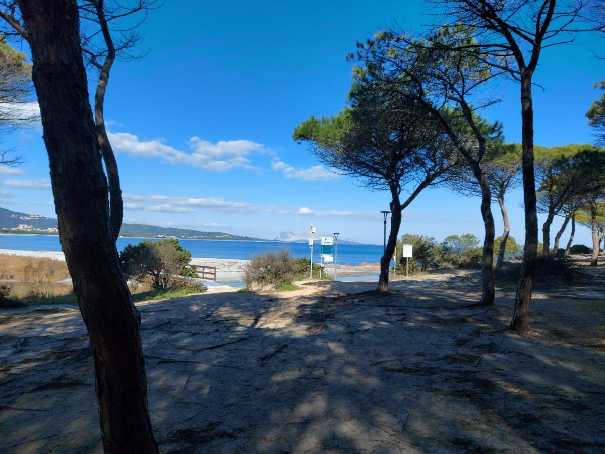 Villetta Gallura 13 บูโดนี ภายนอก รูปภาพ